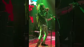 Julian Marley—No Woman No Cry