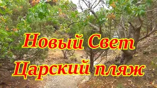 Новый Свет. Царский пляж.