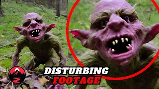 19+ Most Disturbing Trail Cam Footage No One Was Supposed To See