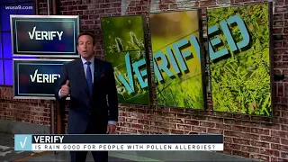 VERIFY: Is rain beneficial for pollen allergy sufferers?