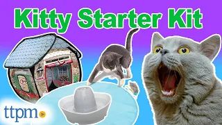 Everything You Need for Your Cat | Kitty Starter Kit for New Owners