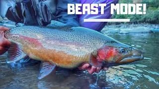 FISHING for HUGE trout in the land of the LOST [New Zealand]
