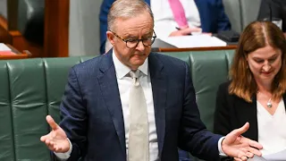 Anthony Albanese is one of the ‘biggest peddlers’ of misinformation in Australia