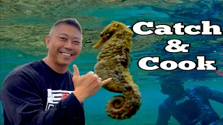 Living the Dream in Paradise, Hawaii Catch and Cook. Ep149