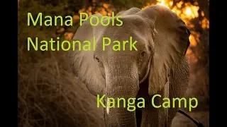 Zimbabwe - Kanga Camp and Mana Pools National Park