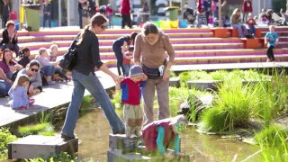 Urban Wetland, Perth, Western Australia