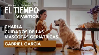 ¿Cómo cuidar a tus animales de compañía?