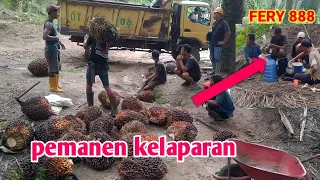 sungguh miris melihat pemanen di lapangan bikin istri nangis