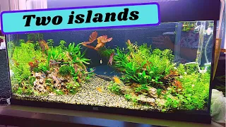 STEP BY STEP aquascaping tutorial |  two islands  ( Planted aquarium )