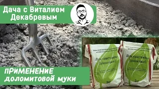 ДОЛОМИТОВАЯ МУКА. КАК И ЗАЧЕМ ВНОСИТЬ ЕЕ В ПОЧВУ?