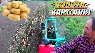 Як вирощують КАРТОПЛЮ в сухих регіонах !!!