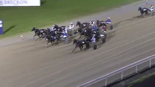 Mach Shard winning the 2024 Taylor Mile and paying $155.00
