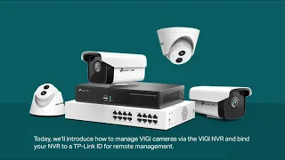 How to Manage VIGI Cameras via VIGI NVR