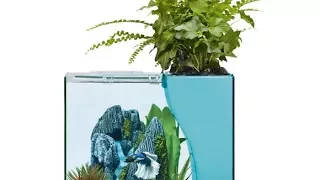 Top fin Aquaponics Embark Desk Aquarium unboxing a