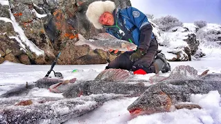 ЭТО УЖАС! КРУПНЯК СХОДИТ С УМА И НЕ ЛЕЗЕТ В ЛУНКУ! ПОЙМАЛИ МЕШОК ЗА ЧАС! ПЕРВЫЙ ЛЁД ЗАПОЛЯРЬЯ 2