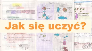 Matura, studia - Jak się uczyć? Mówi student medycyny