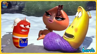 LARVA CARTOONS TOP 50 EPISODE - FUNNY CLIP | HILARIOUS ANIMATED MEMES