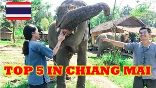5 TOP Things to do in CHIANG MAI, THAILAND | What to do in Chiang Mai 2019