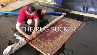 Rug Washing Process