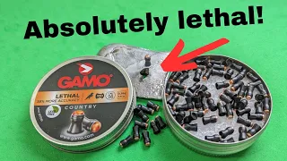 Gamo lethal lead free hunting pellet extreme penetration and accuracy testing