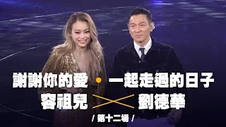 容祖兒 Pretty Crazy 演唱會 - 劉德華合唱《謝謝你的愛》《一起走過的日子》第十二場嘉賓