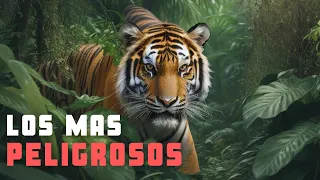 Los ANIMALES más PELIGROSOS de la JUNGLA