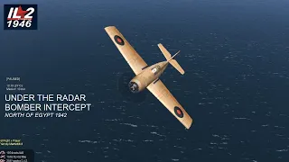 Flying Under the Radar iL2-1946 #il21946