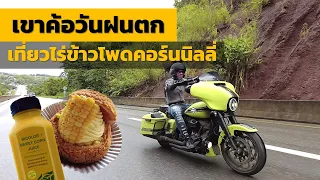 ออกทริปฮาร์ลีย์ไปเขาค้อในวันฝนตก เที่ยวไร่ข้าวโพดคอร์นนิลี่