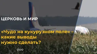 "Чудо на кукурузном поле" - какие выводы нужно сделать?