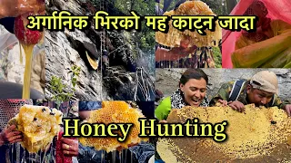 HoneyHunting अर्गानिक भिरको मह काट्न जादा ३०के.जि भन्दा बढि मह😱 MeeraGurung vlog| Barpak village