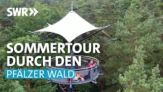 Treffpunkt Sommerreise - Entdeckungen im Pfälzer Wald | SWR Treffpunkt