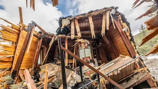 A giant tree destroyed my studio!!