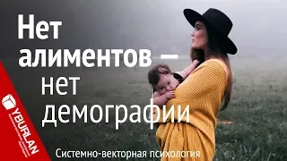 Нет алиментов – нет демографии. Системно-векторная психология. Юрий Бурлан