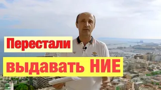 Перестали Выдавать НИЕ | Как Приехать в Испанию | Про налоги в Испании | Подтвердить деньги для ВНЖ