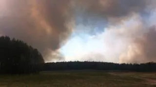 Пожар леса в Ревде