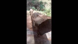 DEHRADUN - LANSDOWNE - TARKESHWAR TEMPLE