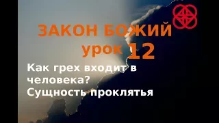 Сущность грехопадения. Православие.  Закон Божий