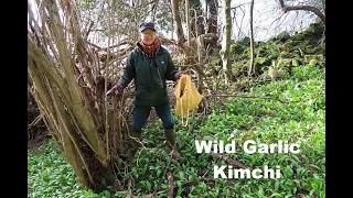 Wild Garlic Kimchi