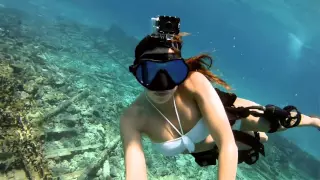 GoPro HD Shark Riders   Introducing GoPros New Dive Housingbajaryoutube com