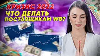 КАК СПАСТИ БИЗНЕС НА WILDBERRIES В 2022 ГОДУ? Антикризисные решения для поставщиков!