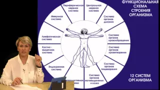 12 Констант Здоровья Человека ! Часть 1   Вебинар Ольги Алексеевны Бутаковой ! C
