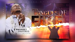 TONGUES OF FIRE MIDNIGHT PRAYERS || PROPHET SHEPHERD BUSHIRI