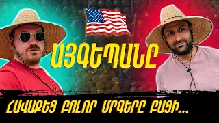 AMERICA / USA - էկզոտիկ մրգերի փորձարկում / exotic fruits degustation