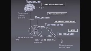 Мультимодальная анальгезия