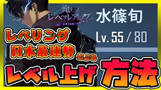 【俺アラ攻略】Lv.55達成！日本最速勢による絶対に知っておきたいレベル上げのすべて【俺だけレベルアップな件】