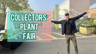 THE COLLECTORS' PLANT FAIR - soooooo many plants !! - vlog
