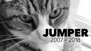 A Tribute to Jumper