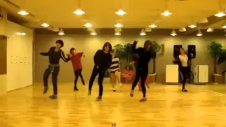 T-ara 'Lovey Dovey' mirrored Dance Practice