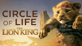 Circle of Life - The Lion King 👑