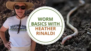 Worm Basics with Heather Rinaldi